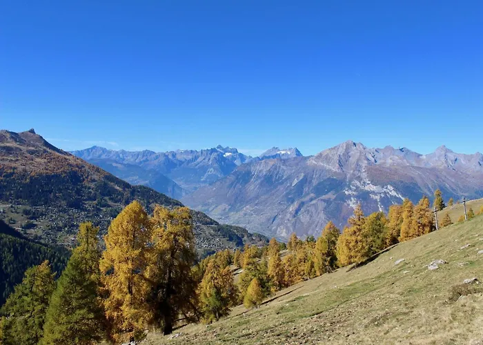 In Nendaz Near Slopes Fey (Nendaz)